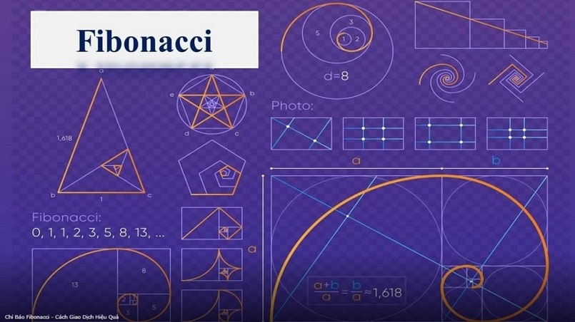 Fibonacci là gì?